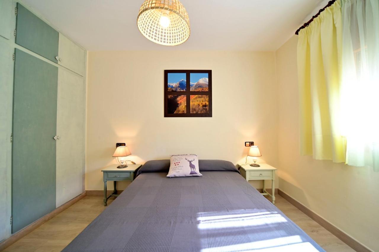 Casa Guineu Appartement Esterri d'Àneu Buitenkant foto